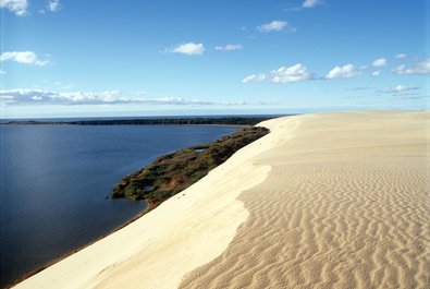 Curonian Spit Dunes