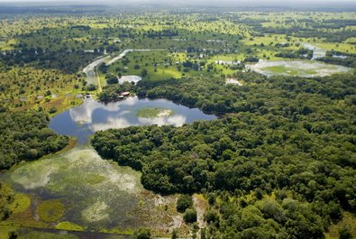 The Pantanal Biospher Reserve