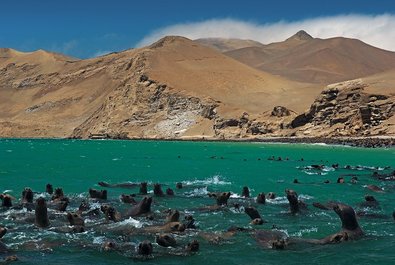 Reserva Nacional de Paracas