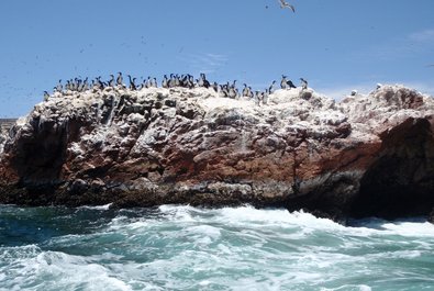 The Ballestas Islands