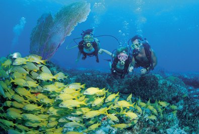 Diving and snorkeling