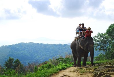 Siam Safari Nature