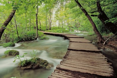 The Plitvice Park