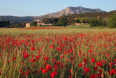 The Montagne Ste Victoire