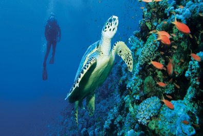 Marieta Islands Marine Reserve