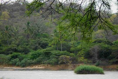 The Cerros de Amotape National Park