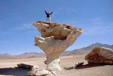 Arbol de Piedra