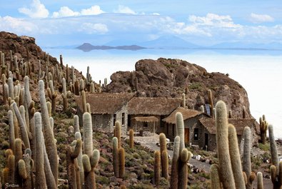 Isla de los Pescados