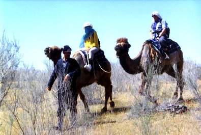 Kyzyl Kum Desert