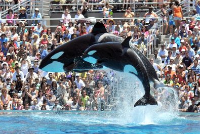 SeaWorld San Diego