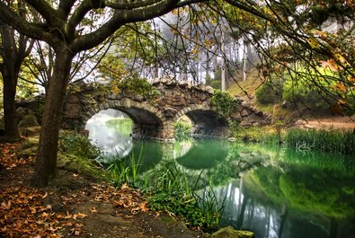 Golden Gate Park