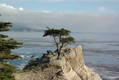 17-Mile Drive