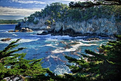 Point Lobos