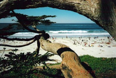 Carmel-by-the-Sea