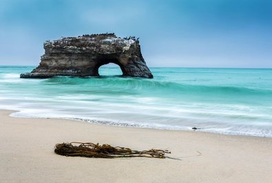 Natural Bridges State Beach