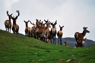 The Cairngorms National Park