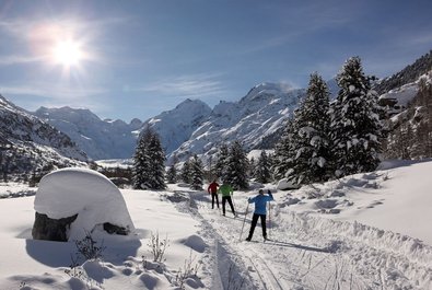 Cross-country skiing