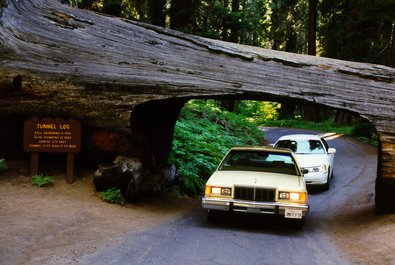 Tunnel Log