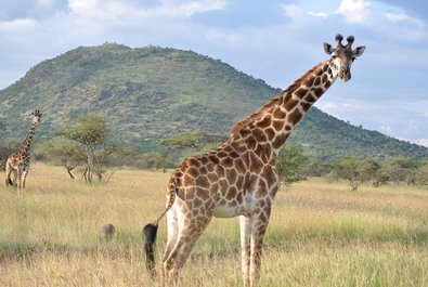 Serengeti National Park