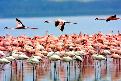 Lake Manyara