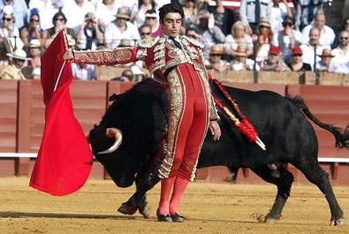 Bull Fight