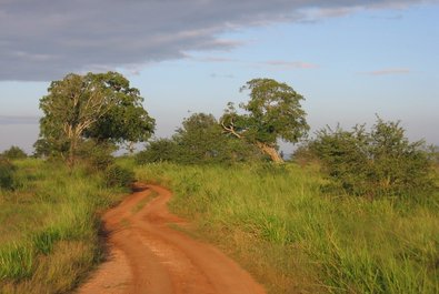 Udawalawe National Park