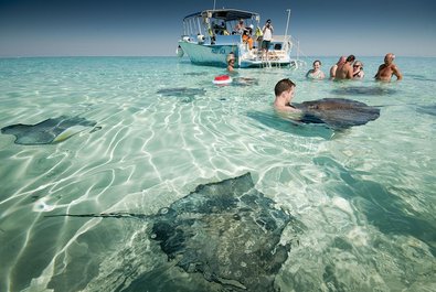 The Stingray City Sandbar