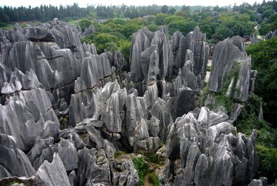Stone Forests