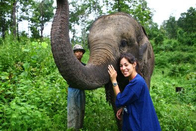 Thai Elephant Conservation Center