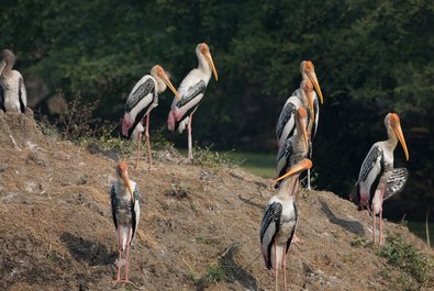 Keoladeo National Park