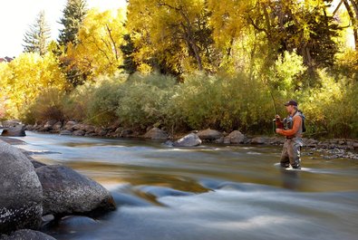 Gore Creek fishing