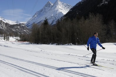 Cross Country Skiing