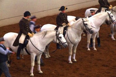 Spanish Riding School