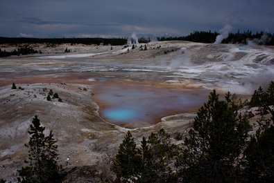 Norris Porcelain Geyser Basin