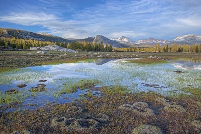 Tuolumne Meadows