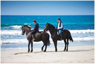 Horseback Riding